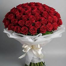 Букет 101 Красная роза Блэк Мэджик в Архангельске
