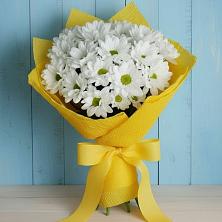 Букет цветов из:  Хризантемы в Архангельске