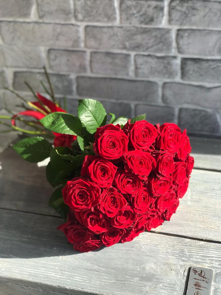 Букет Красные розы Фридом в Архангельске