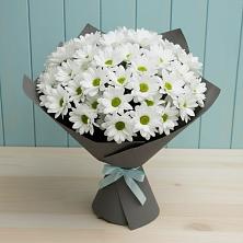 Букет цветов из:  Хризантемы в Архангельске