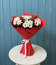 Букет цветов из:  Хризантемы в Архангельске