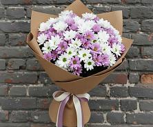 Букет цветов из:  Хризантемы #REPLACE_PRED# Архангельске