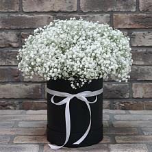 Цветочная композиция из Гипсофила в шляпной коробке в Архангельске