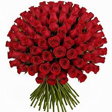Букет Красные розы Чери Лав в Архангельске