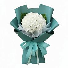 Букет цветов из:  Гортензия в Архангельске